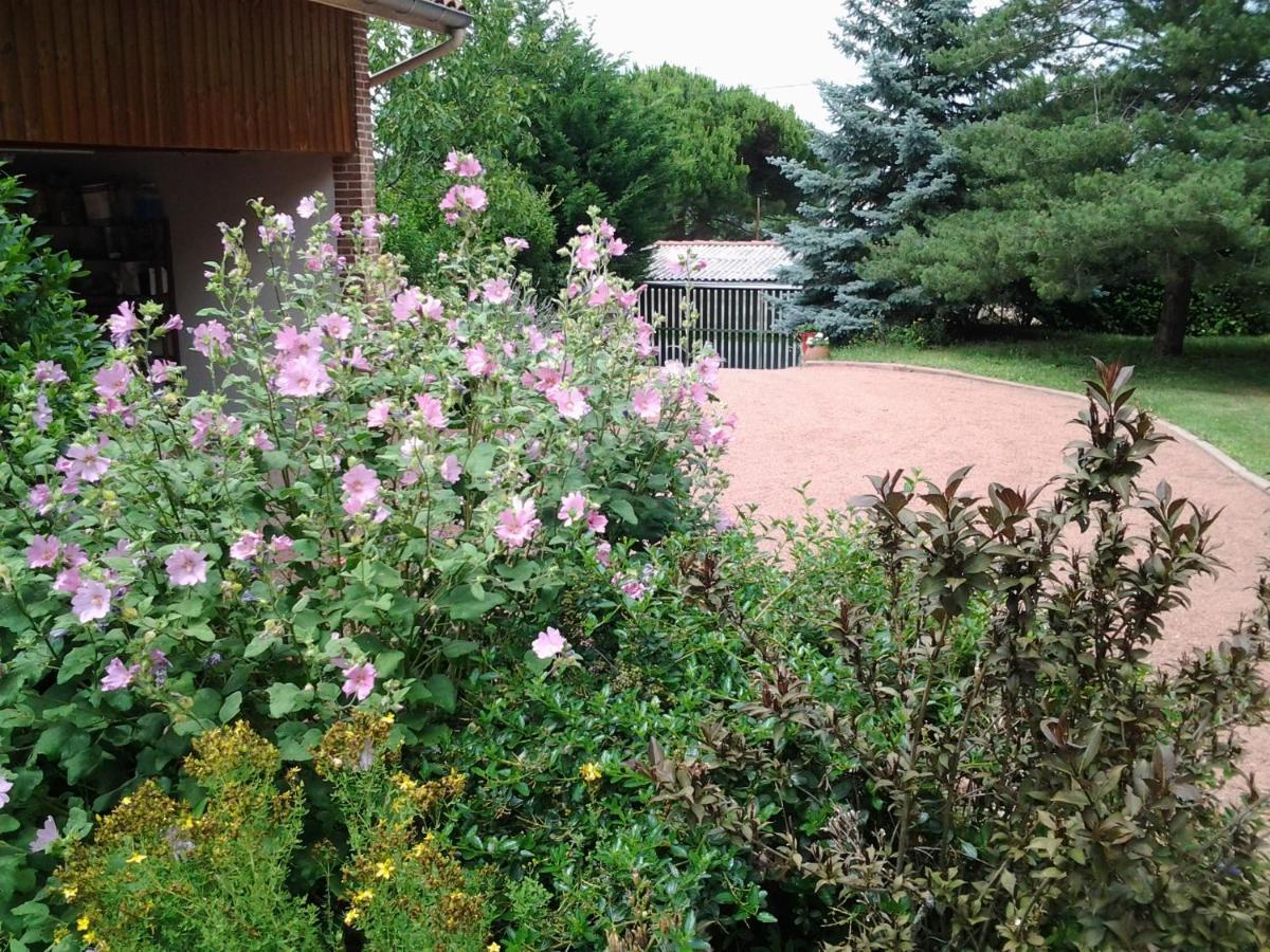 Erable Pourpre Bed and Breakfast Saint-Georges-Haute-Ville Eksteriør billede